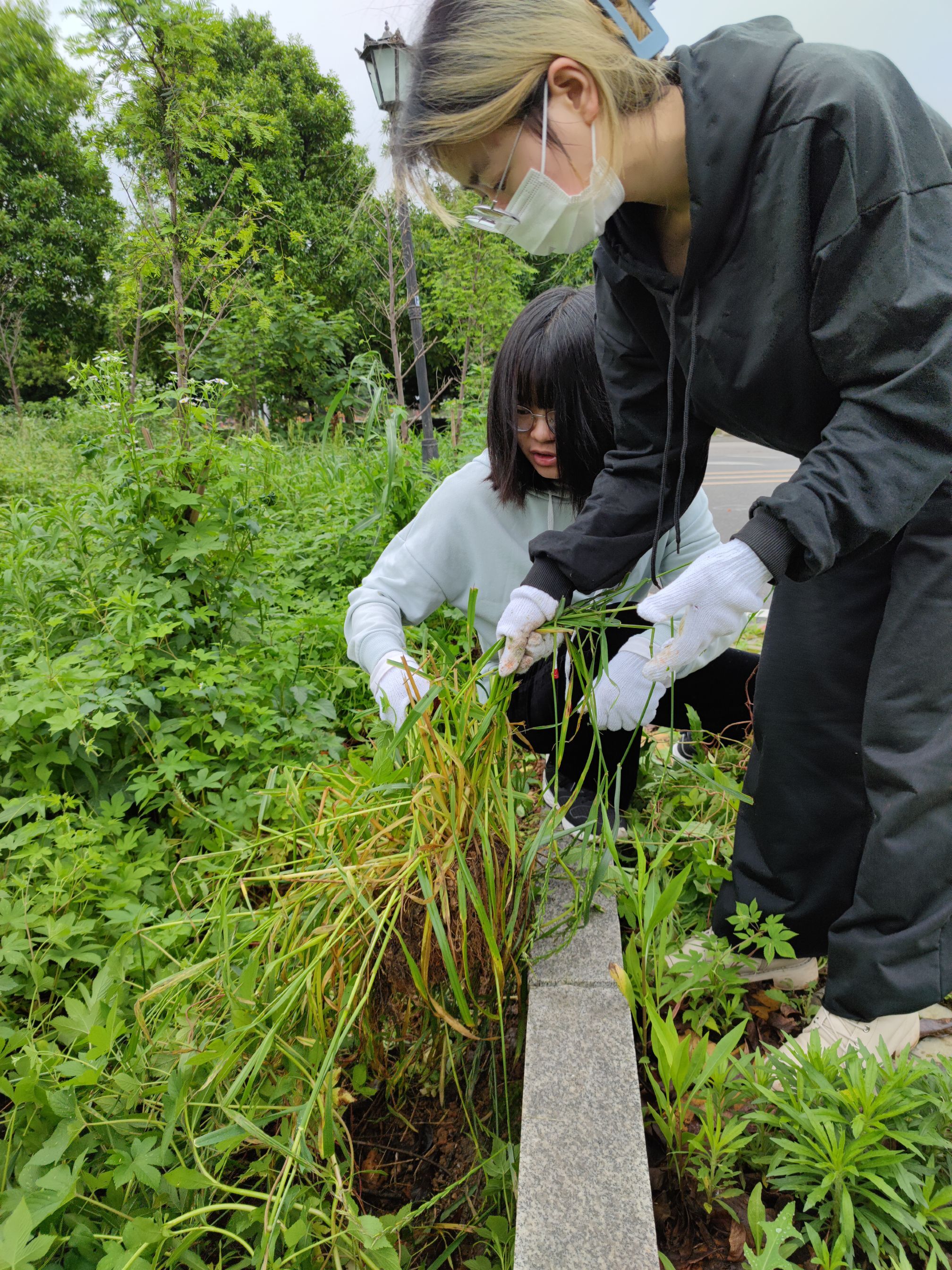 22011bcaca224567b1a33ef186103e8d.jpg QQ图片20210602221932.jpg