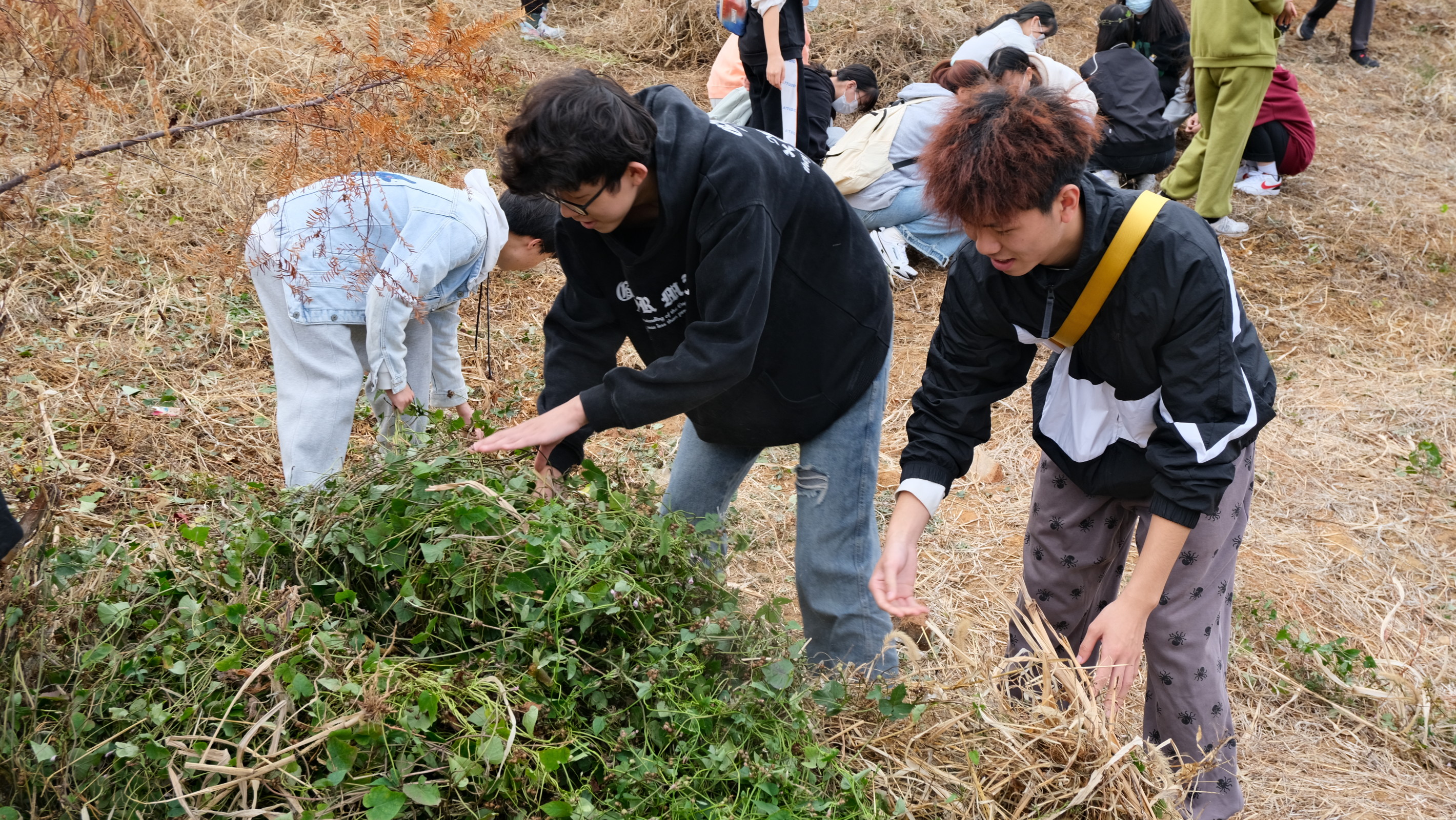 83207eacde244af5aa49ee3c79934ade.jpg 83207eacde244af5aa49ee3c79934ade.jpg