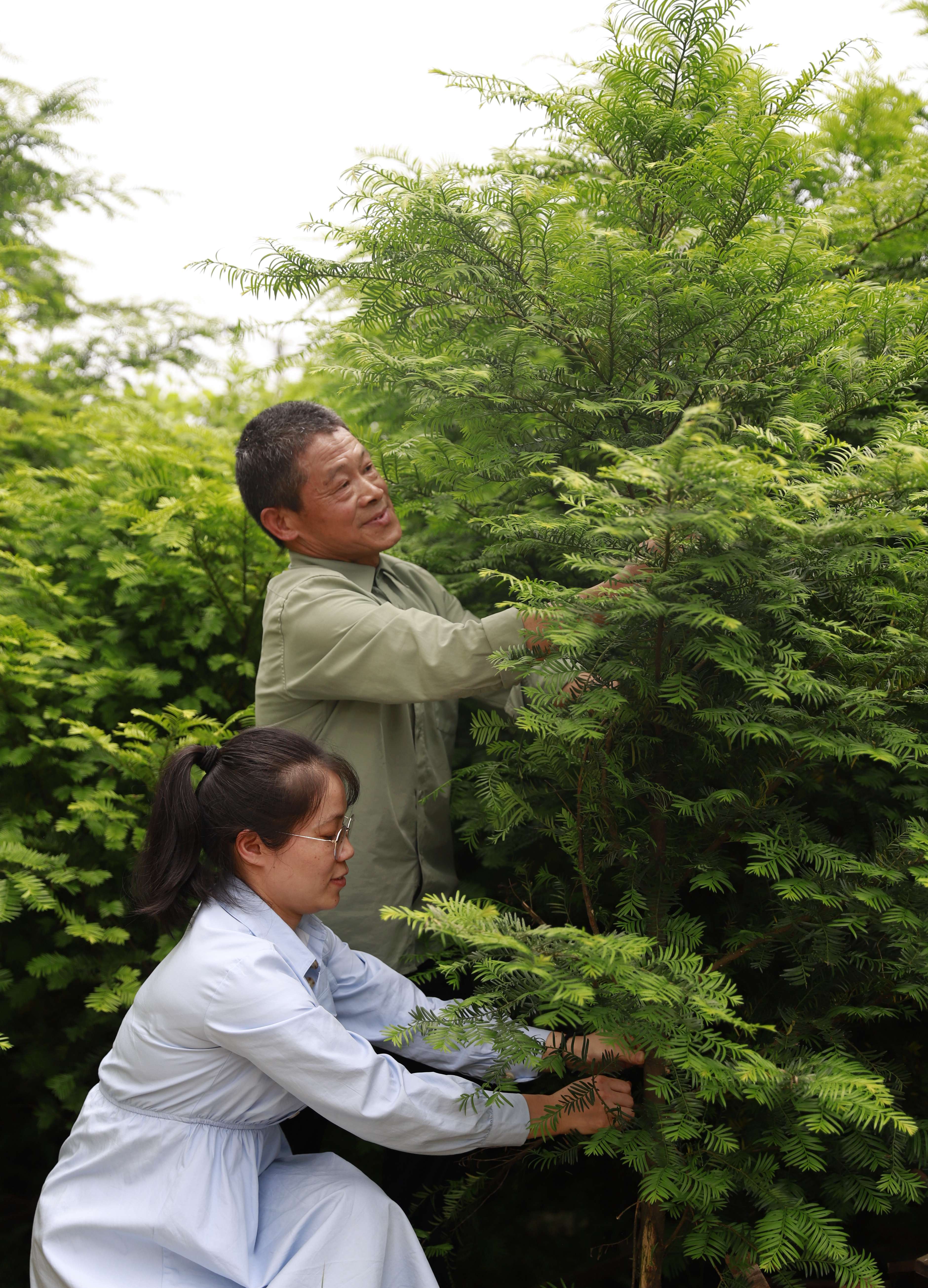 60b339a0601e4918ba066a4248d91545.jpg 3.jpg