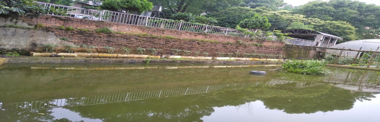 0ab8c633b1774116914ec209a36789b5.jpg 1.jpg