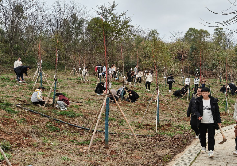 9cf960ae64974777acfbbef3b8120b26.png 9cf960ae64974777acfbbef3b8120b26.png