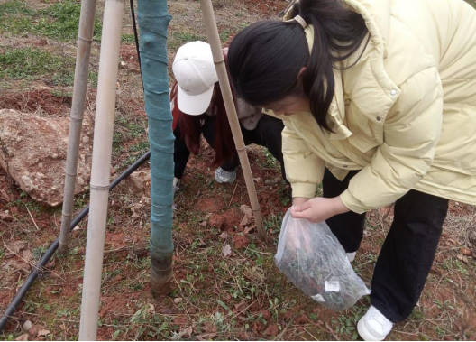 64e1fe18c54c4d7fbf8eb25fa06cfb0a.png 64e1fe18c54c4d7fbf8eb25fa06cfb0a.png